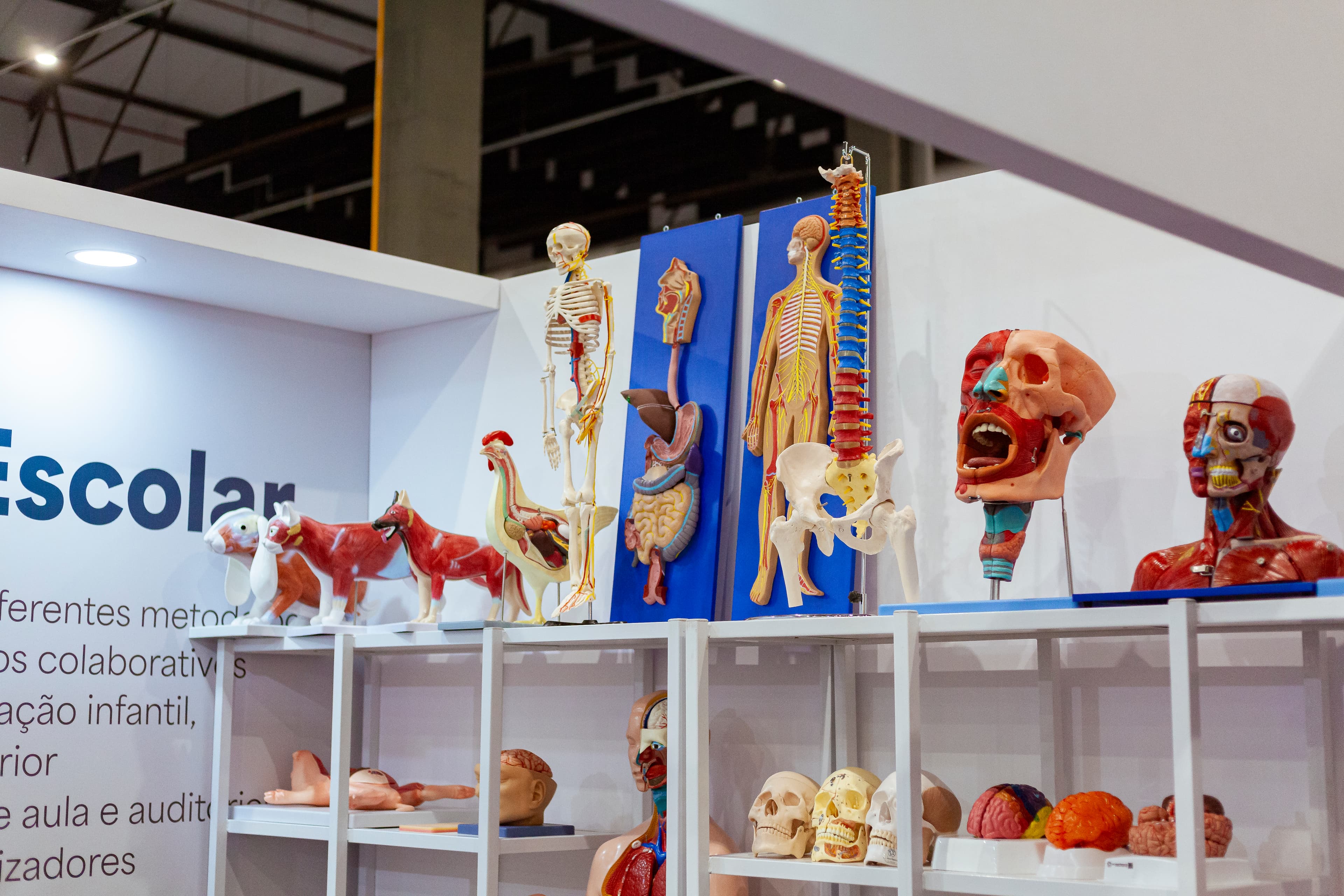 ClassGame na Bett Nordeste — Foto 50